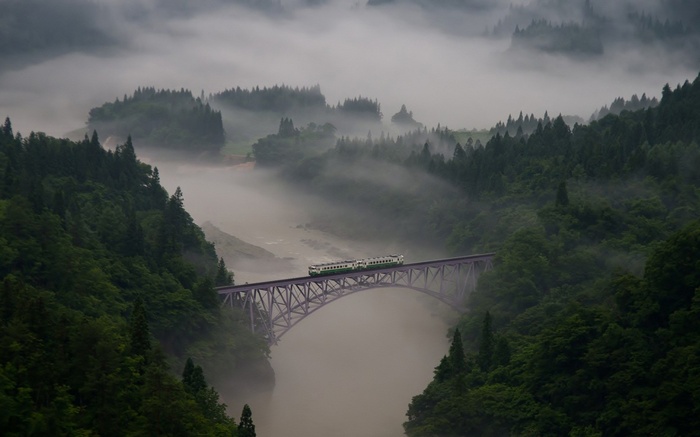 Train crossing a bridge in a foggy forest