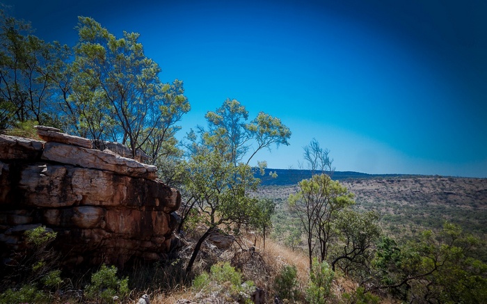 Rocky outcrop with trees and a vast landscape