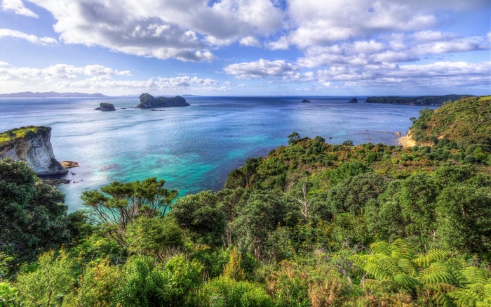 Coastal landscape with islands and lush green vegetation