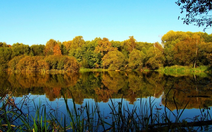 Autumn trees reflected in a calm lake under a clear blue sky