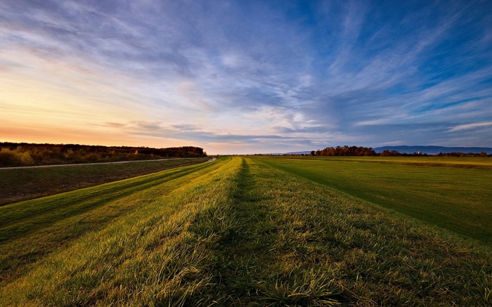 Grassy field with a path at sunset
