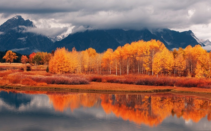 Autumn trees reflected in a lake with mountains