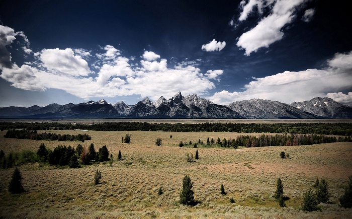 Grand Teton National Park Mountains and Meadow