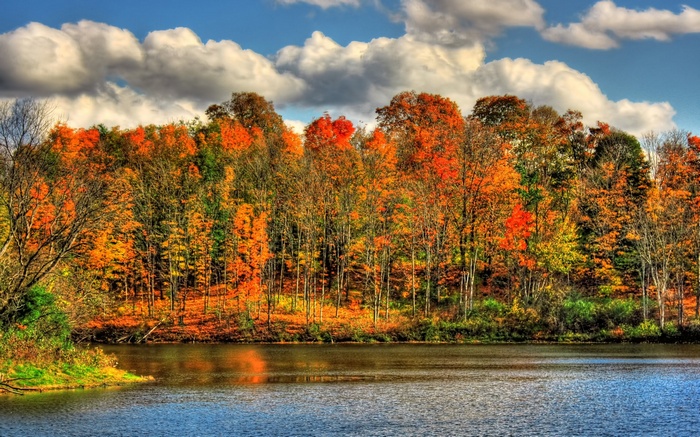 Autumn trees reflected in a lake under a cloudy sky