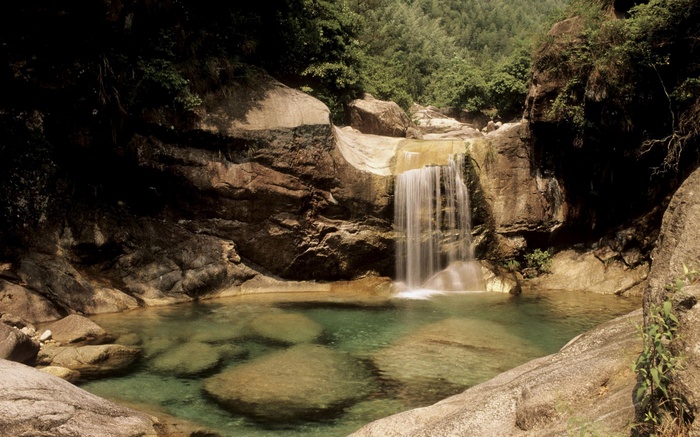 Waterfall cascading into a clear pool in a rocky forest