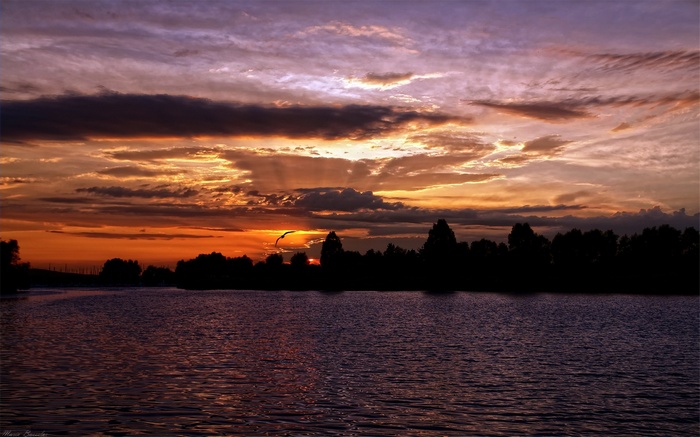 Sunset over a lake with silhouetted trees and a bird