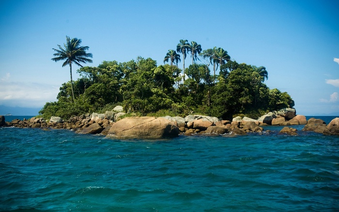 Tropical island with palm trees and rocky shore
