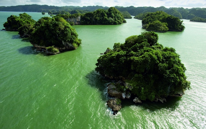 Islands covered in lush green trees in a turquoise bay