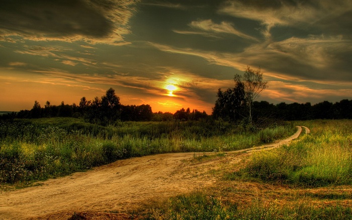 Dirt road through a field at sunset