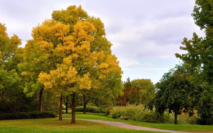 Park path with trees in autumn colors