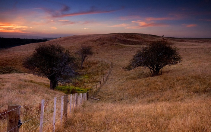 Sunset over a grassy hill with trees and a fence
