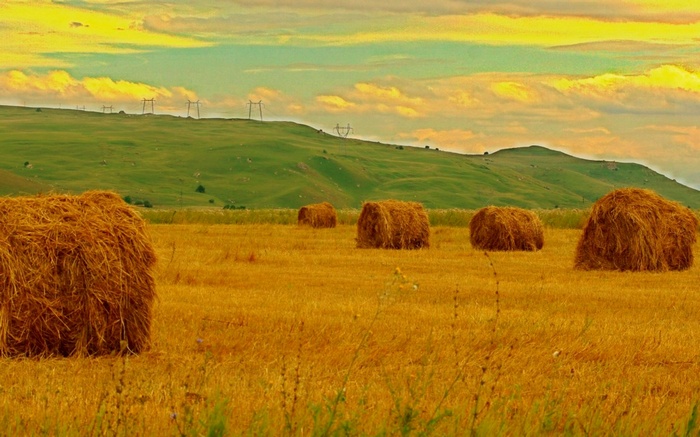 Hay bales in a golden field with rolling green hills