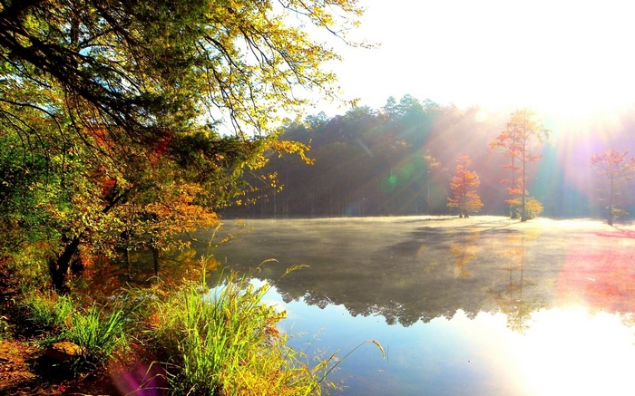 Misty lake at sunrise with autumn trees