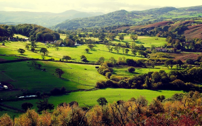 Rolling green hills with scattered trees and houses
