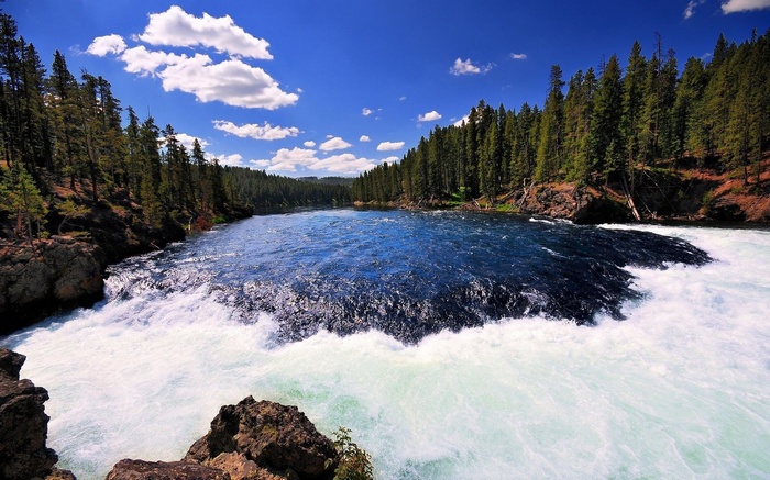 River flowing through a forest with a waterfall