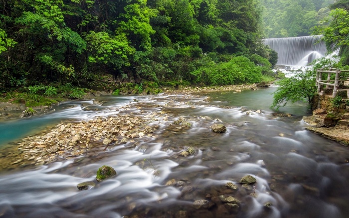 River flowing through a forest with a waterfall