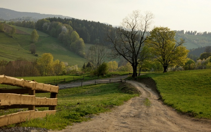 Dirt road winds through a green, hilly landscape with trees