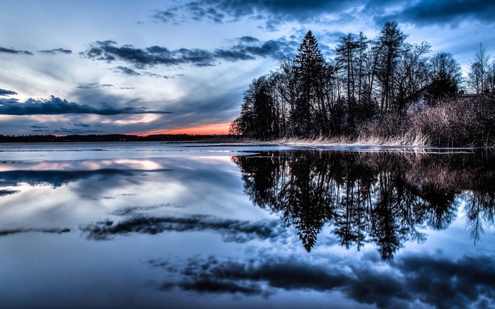 Trees reflected in water at sunset
