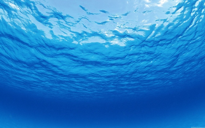 Underwater view of the ocean surface