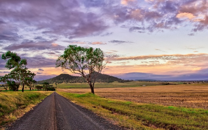 Dirt road through a field at sunset