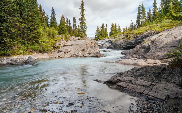 River flowing through rocky terrain with pine trees