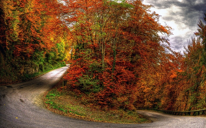 Winding road through autumn forest with colorful trees