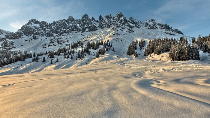 Snowy mountain range with pine trees and wind-swept snow