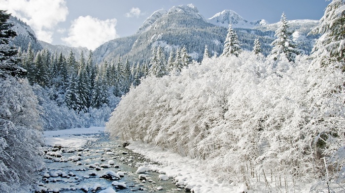 Snow-covered trees and mountains with a river