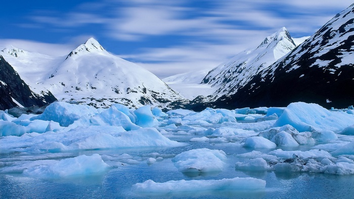 Icebergs in a glacial bay with snow-capped mountains