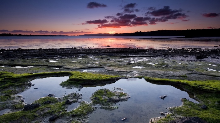 Rocky Shoreline at Sunset