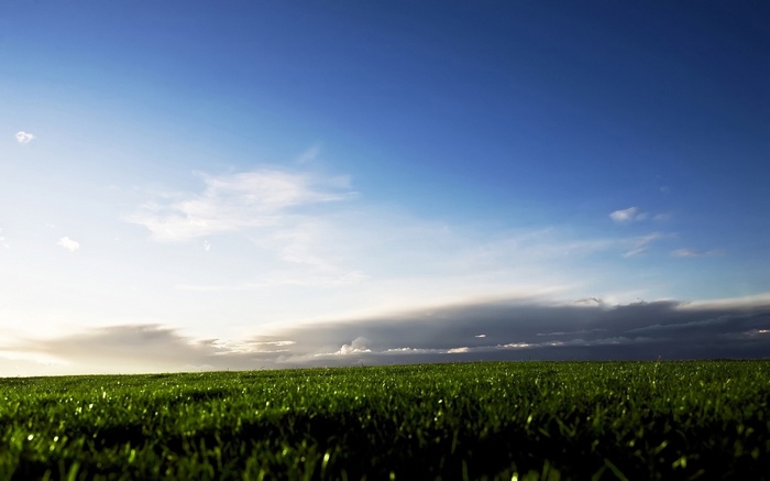 Green grass field under a blue sky with clouds