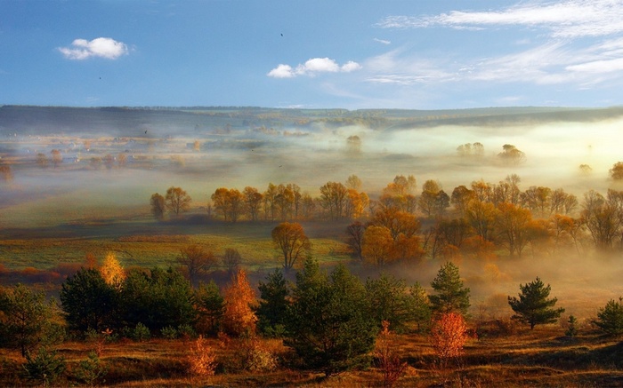 Misty valley with autumn trees and blue sky