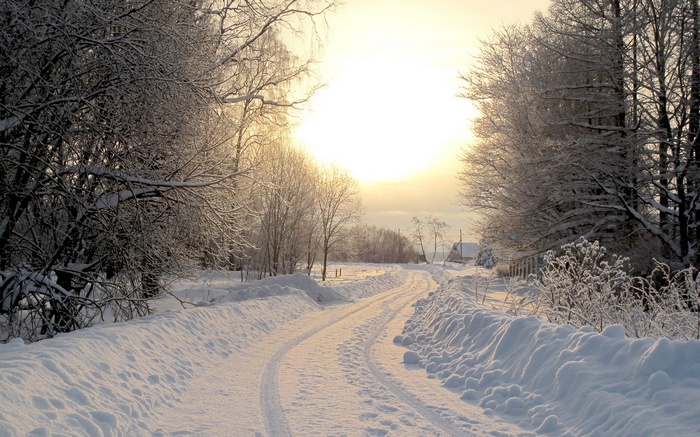 Snowy road through a winter forest at sunset