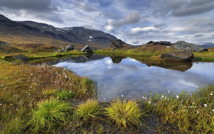Mountain landscape with a small pond and cotton grass