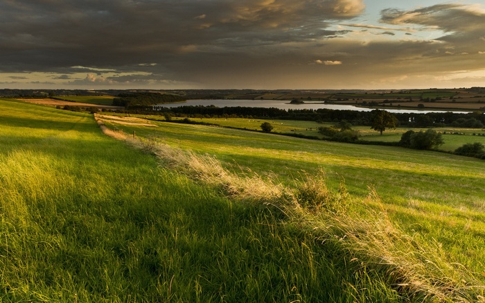 Rolling green hills and a lake at sunset