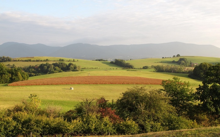 Rolling green hills with fields and trees