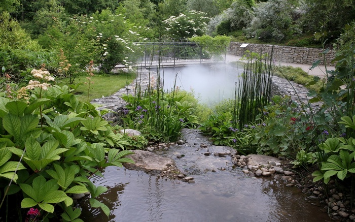 A misty pond with a bridge in a garden