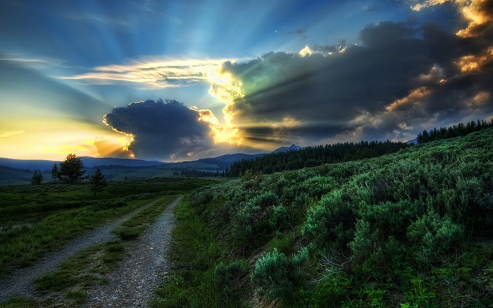 Sunbeams breaking through clouds over a grassy hill