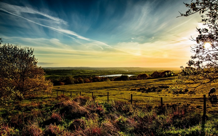 Sunset over rolling hills with a sheep