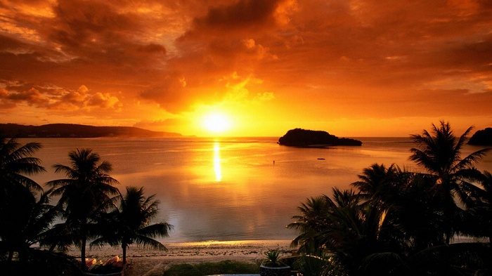 Sunset over the ocean with palm trees