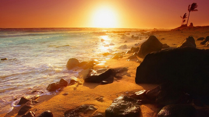 Sunset over a rocky beach with palm trees