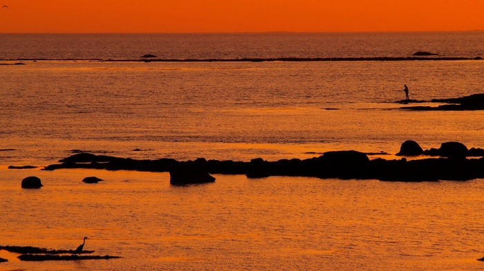 Silhouette of a person fishing at sunset by the sea