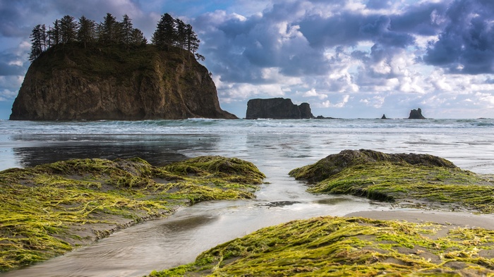 Rocky island with trees and sea stacks at Rialto Beach