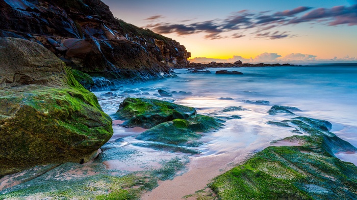 Mossy rocks on a beach at sunrise