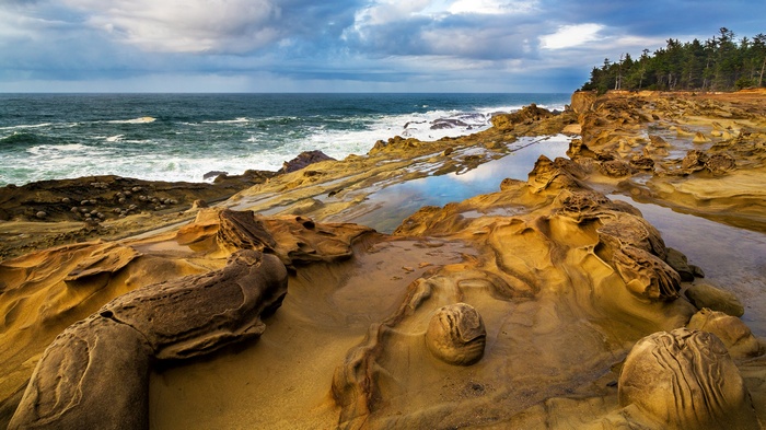 Rocky coastline with tide pools and ocean waves