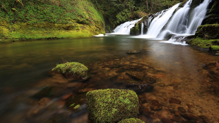 Mossy rocks in a stream with a waterfall