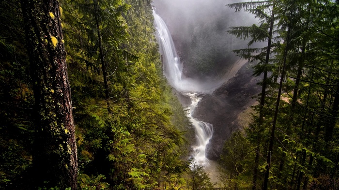 Misty Waterfall in a Lush Forest