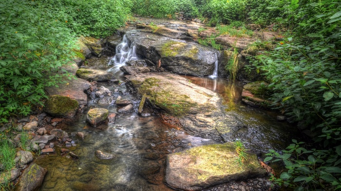 A small waterfall flows over rocks in a forest