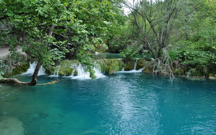 Turquoise water flows over mossy rocks in a forest