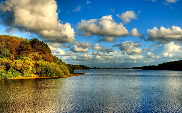 Lake and forest under a cloudy sky